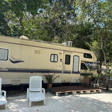 Momotoh Camper Hotell Xpujil Exteriör bild